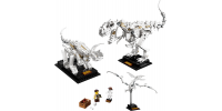 LEGO IDEAS Les fossiles de dinosaures 2020
